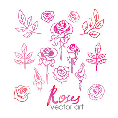 Set of Vintage Floral Hand-Sketched Elements. Flowers, Floral El