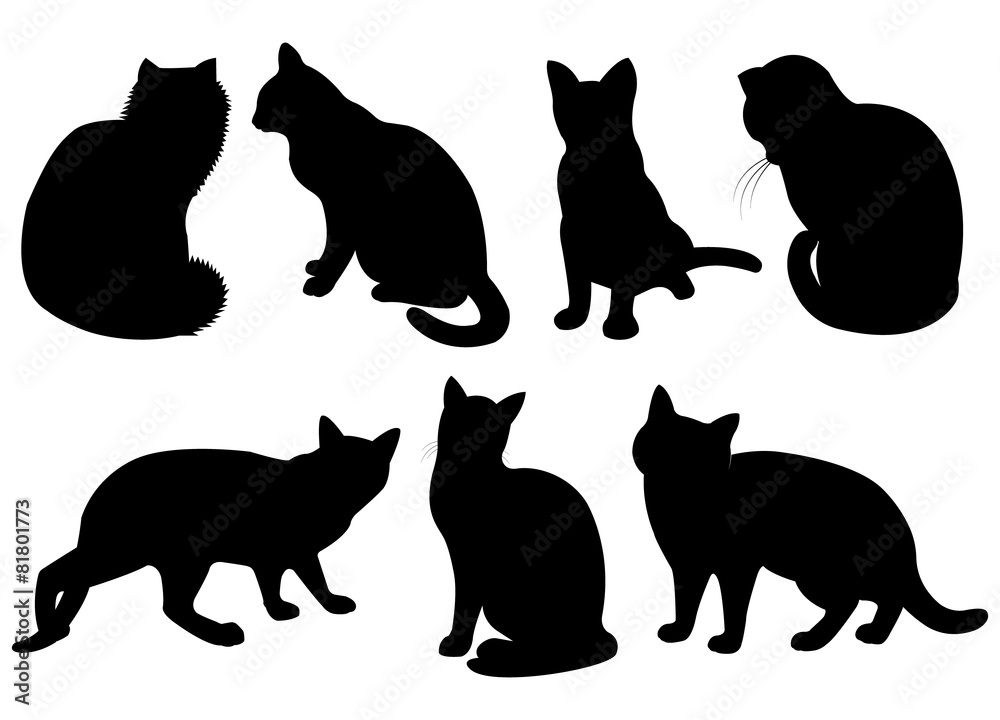 Wall mural silhouettes of cats