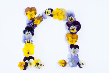 letter N alphabet made from pansy flowers