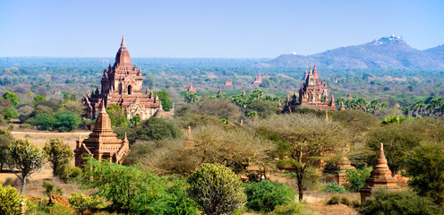 Sea of Pagodas and Temples in Bagan