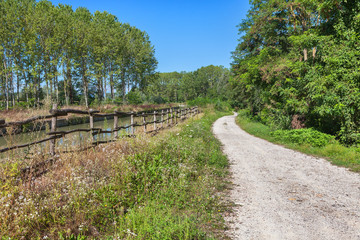 Fototapeta premium Curved rural road in Piedmont, Italy.