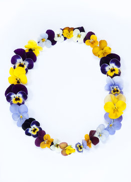 letter O alphabet made from pansy flowers