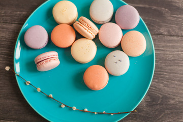 Beautiful Multicolored Macarons