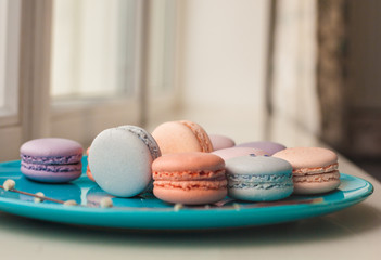 Beautiful Multicolored Macarons