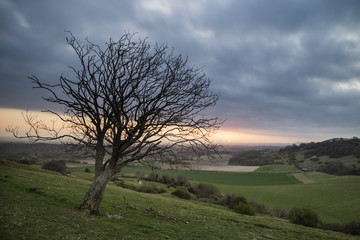 Stunning vibrant Spring sunrise over English countryside landsca