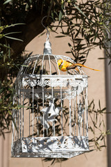 Décoration et jardin de Pâques