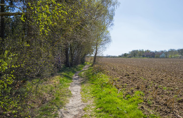 Naklejka premium Hiking trail along trees in sunlight in spring
