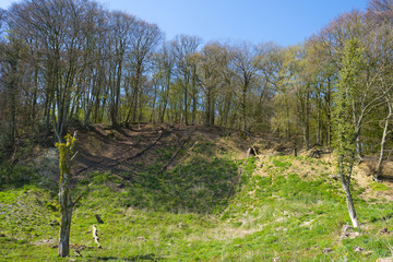 Trees on top of a hill in spring