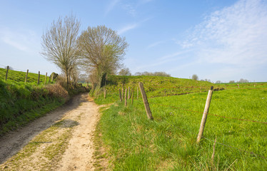 Panorama of a sunny green meadow on a hill