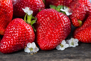 close view on fresh organic strawberry, vibrant colors