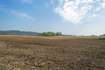 Furrows on a sunny field in spring