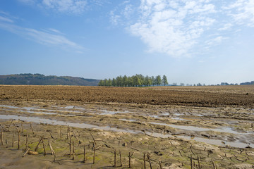 Furrows on a sunny field in spring