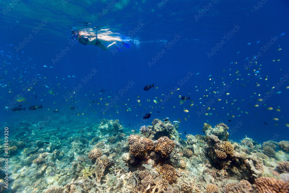 Poster woman snorkeling in tropical water