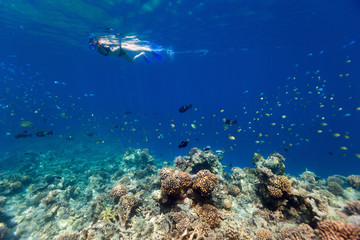 Fototapeta na wymiar Woman snorkeling in tropical water
