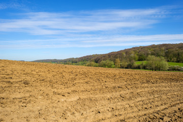 Plowed field on a hill along a forest in spring
