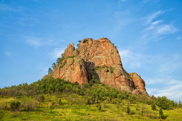 Fototapeta na wymiar Beautiful rocks - Borov kamuk, Bulgaria
