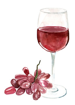 Watercolor glass of red wine and red grapes on white background