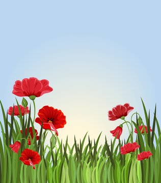 ummer background with grass and red flowers.