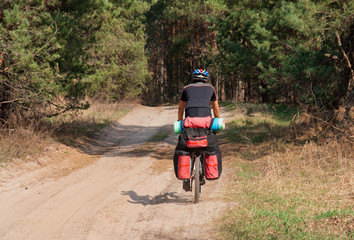 Cyclist practicing mountain bike on a forest trail.