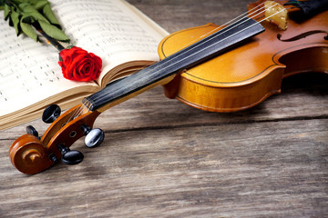 The violin and rose on musical notes