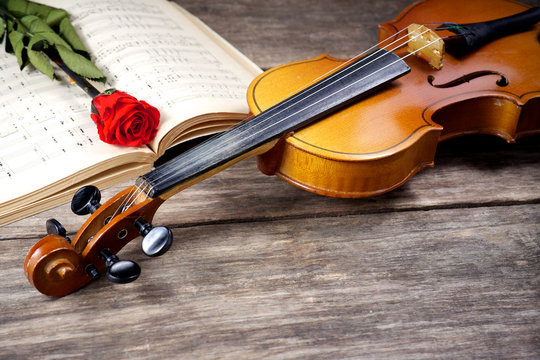 The violin and rose on musical notes