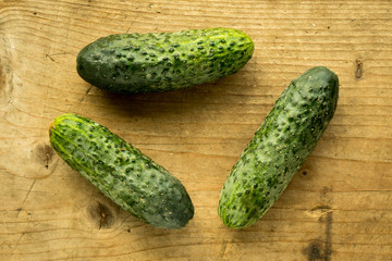 fresh cucumber