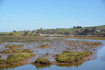 marisma en el parque natural de oyambre
