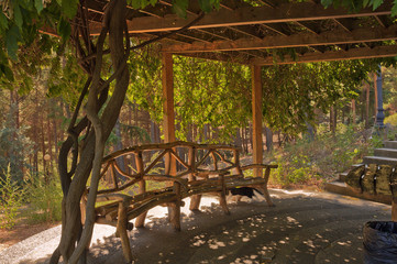 Shaded pergola in the Park Aivazovsky.