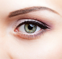 Fototapeta premium Close-up shot of female eye