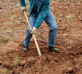 man working with spade