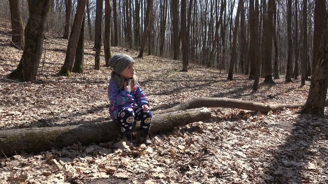 Cute Girl Sitting on Old Pine Tree in Early Spring Forest and Pl