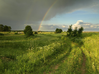 rainbow in summer landscape