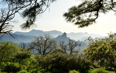 Obraz premium bentaiga 3