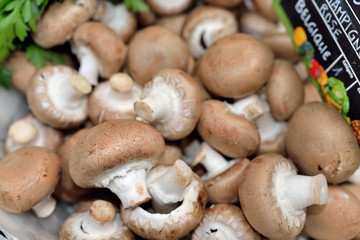 champignon