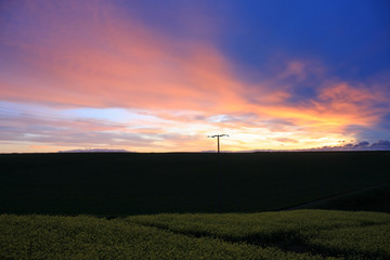 Fototapeta na wymiar sunset over a rape field