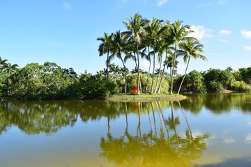 Fototapeta na wymiar Tropical Island