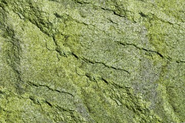 stone texture background