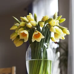 Photo sur Plexiglas Narcisse bouquet of daffodils on weathered wooden table