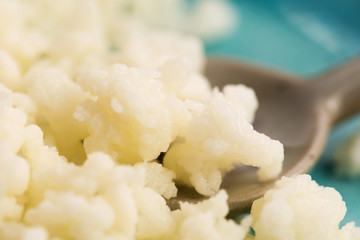 Organic probiotic milk kefir grains