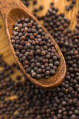 Brown mustard seeds