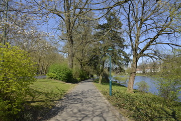 Chemin en pleine verdure au parc Seny à Bruxelles