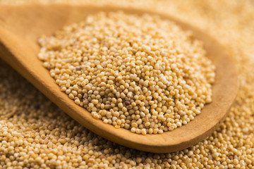 White poppy seeds