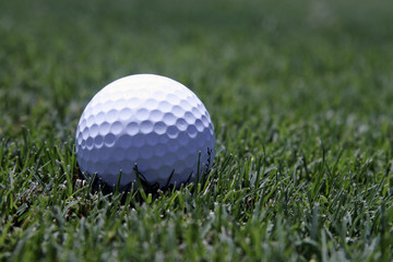 Golf ball on grass