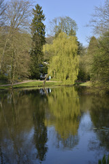 Reflet à l'étang du parc Solvay Tournai à Bruxelles