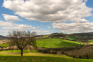 Fototapeta na wymiar Hills of Tuscany