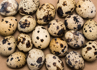 Fototapeta premium Spotty quail eggs as food background