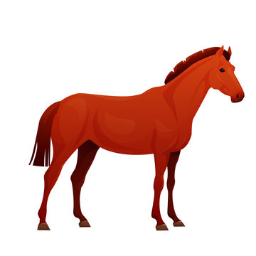 Realistic horse with red coat.