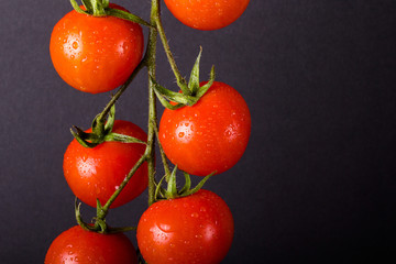 Bunch of fresh cherry tomatoes on a black background