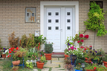 Fototapeta na wymiar Flowers and plants in front of house entrance