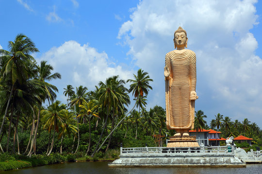 Peraliya Buddha Statue in Hikkaduwa